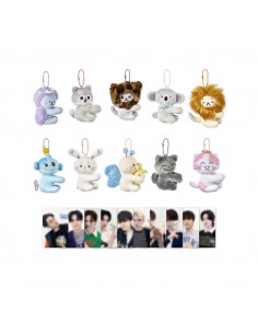 FUNNY TREASURE HAPE Goods - PLUSH PHOTOCARD HOLDER