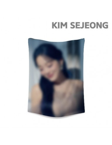 KIM SEJEONG The 門 Goods - CHIFFON FABRIC POSTER