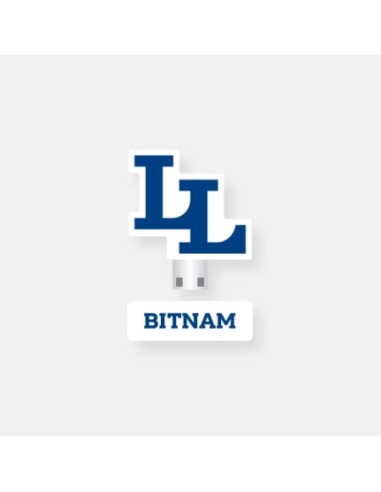 Libelante BITNAM UNIVERSITY Goods - USB