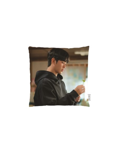 Queen of Tears 2024 POP-UP STORE Goods - CUSHION