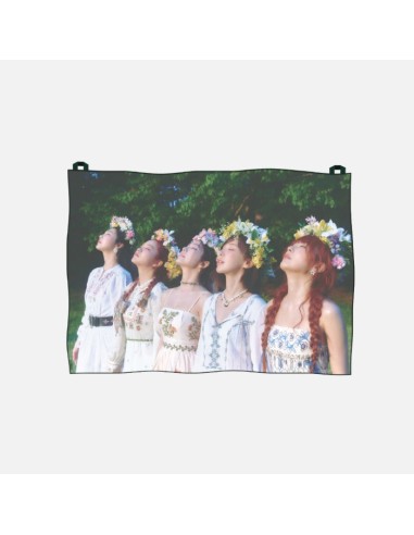 [Pre Order] Red Velvet Cosmic Goods - CHIFFON FABRIC POSTER