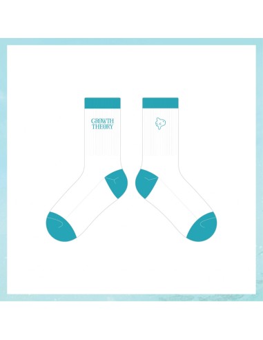 [Pre Order] YOUNHA GROWTH THEORY Goods - SOCKS