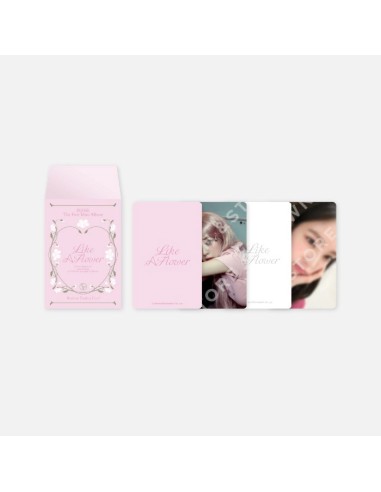 [Pre Order] IRENE Like A Flower Goods - RANDOM TRADING CARD