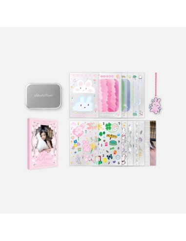 [Pre Order] IRENE Like A Flower Goods - TINCASE & STICKER BOOK SET