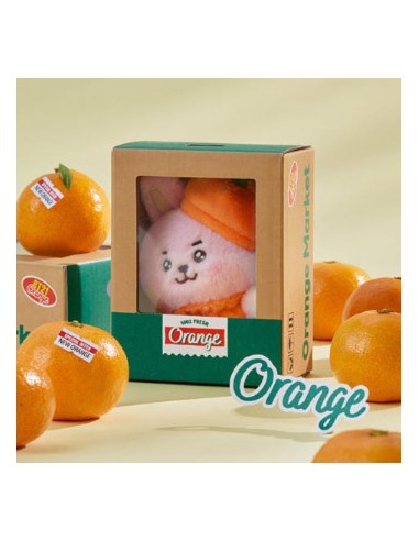 BT21 Orange Goods - Baby Part Small Plush