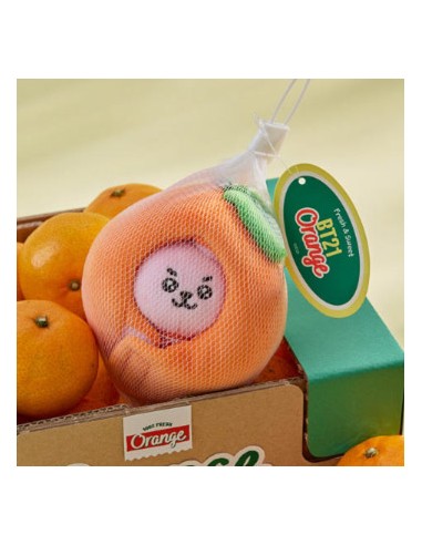 BT21 Orange Goods - Baby Part Plush Keyring