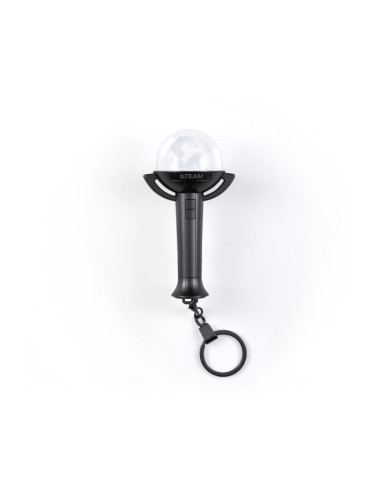 &TEAM Official Light Stick Keyring