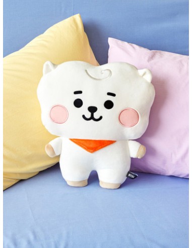 hug cushion bt21